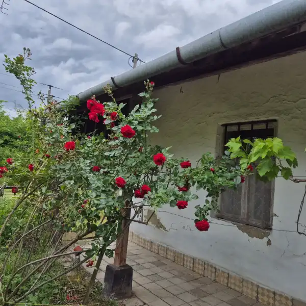 Eladó családi ház, Poroszló 2 szoba 70 m² 15 M Ft
