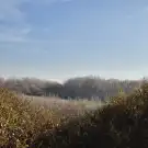 Borsod-Abaúj-Zemplén megye - Tiszalúc