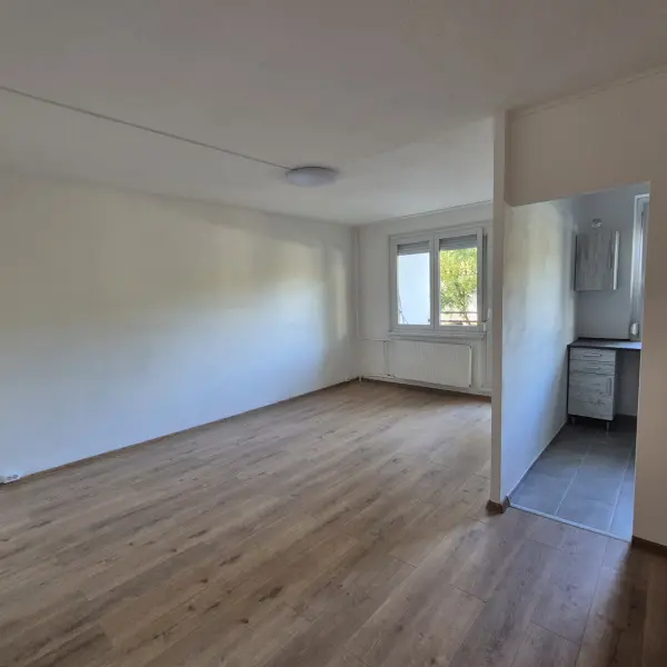 Kiadó panellakás, Budapest, III. kerület 1+2 szoba 54 m² 260 E Ft/hó